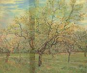 The White Orchard (nn04)